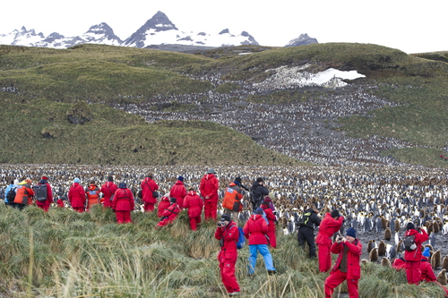 Daisy Gilardini-South Georgia OOE South Georgia Frank Wild Expedition